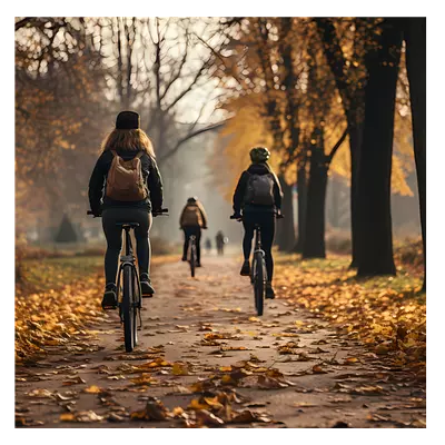 Фото на холсте велосипедисты в лесу, размера 40x40