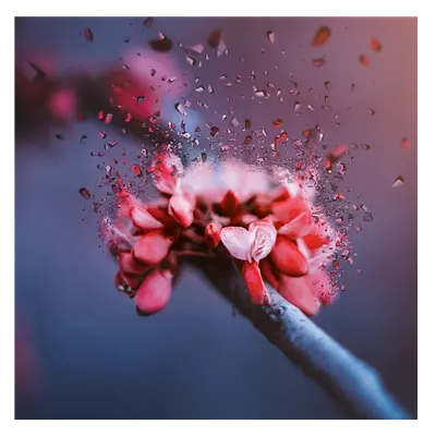 Фото на холсте абстрактный цветок, размера 30x30