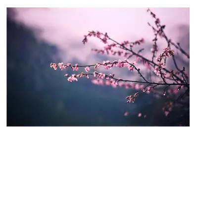 Фото на холсте сирень, размера 90x60