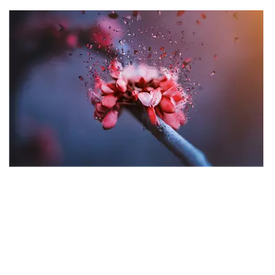 Фото на холсте абстрактный цветок 30х20 см.