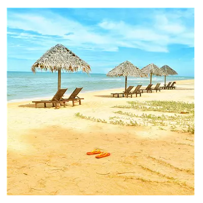 Фото на холсте песчаный пляж, размера 60x60