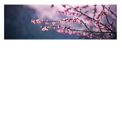 Фото на холсте сирень, размера 120x40