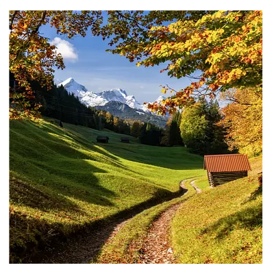 Фото на холсте дорога в зеленом лесу, размера 30x30