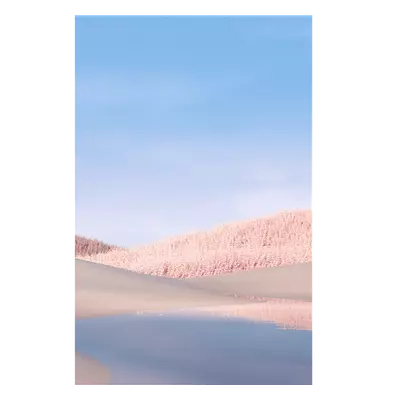 Фото на холсте белые поля, размера 40x60