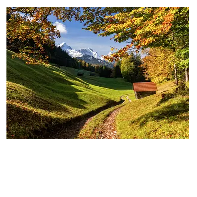 Фото на холсте дорога в зеленом лесу, 40x30 см, до 220 симв.