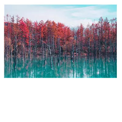 Фото на холсте деревья в воде, размера 90x60