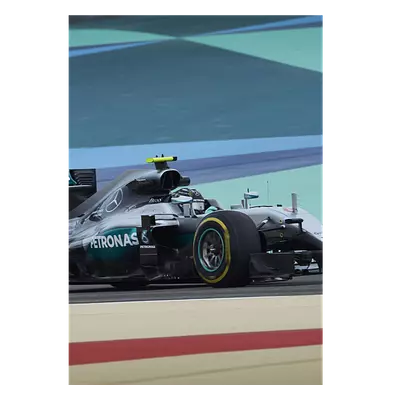 Фото на холсте f1 mercedes, размера 70x100