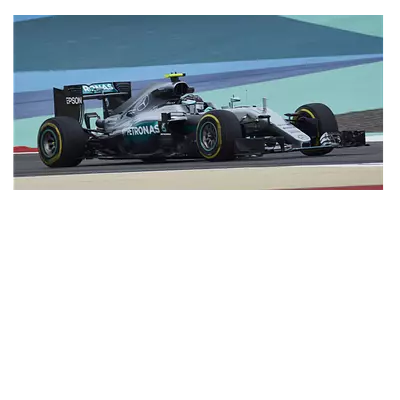 Фото на холсте f1 mercedes, размера 80x40