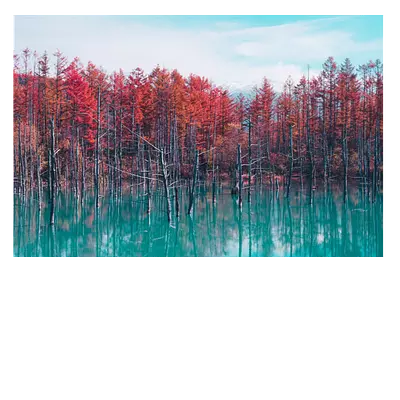 Фото на холсте деревья в воде, размера 120x80