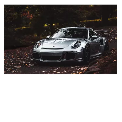 Фото на холсте porsche 30х20 см