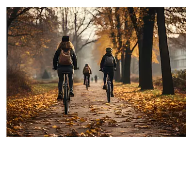 Фото на холсте велосипедисты в лесу. размер 40х30.