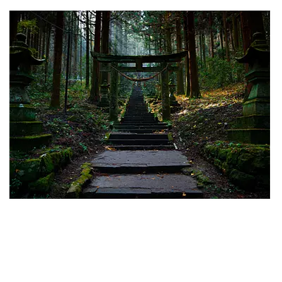 40 x 30. доставка по рф.