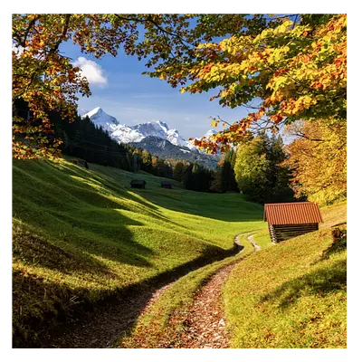 Фото на холсте дорога в зеленом лесу, размера 50x50