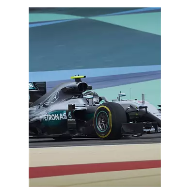 Фото на холсте f1 mercedes, размера 60x80