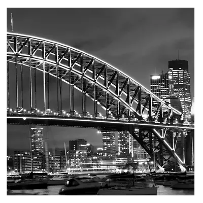 Фото на холсте мост ч/б, размера 50x50