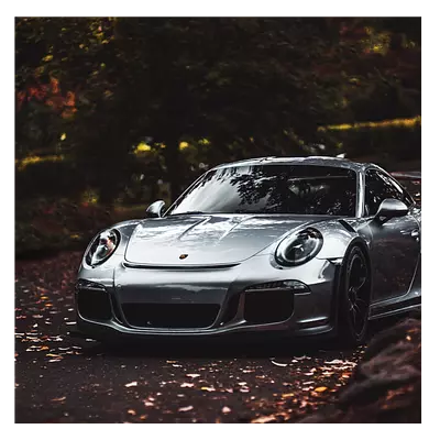 Фото на холсте porsche, размера 50x50