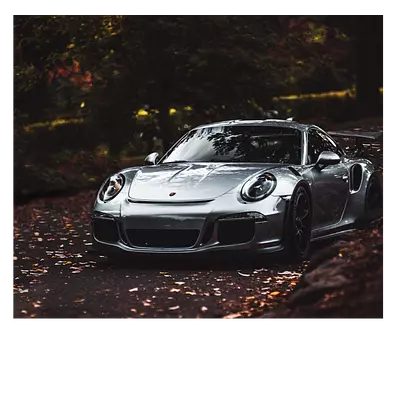 Фото на холсте porsche, размера 60x50