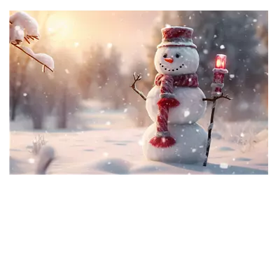 Фото на холсте снеговик. размер 45x30. до 220 символов