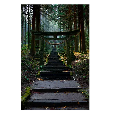 Фото на холсте лестница в лесу, размера 50x75