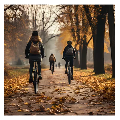 Фото на холсте велосипедисты в лесу, размера 60x60