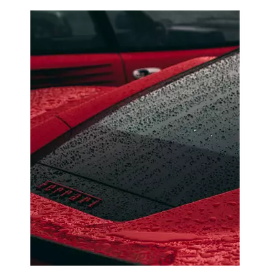 Фото на холсте красный феррари под дождем, размера 50x60