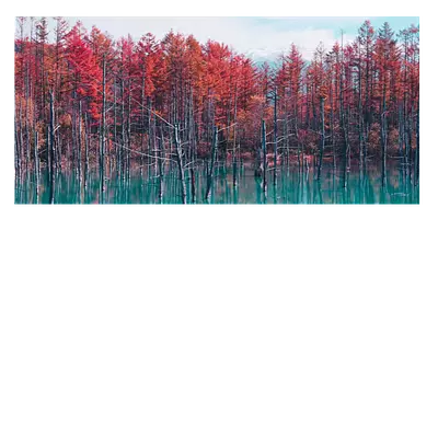 Фото на холсте деревья в воде, размера 60x30