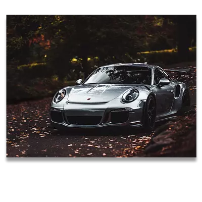 Фото на холсте porsche, размера 80x60