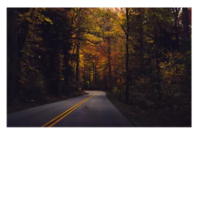 Фото на холсте дорога в лесу, размера 75x50