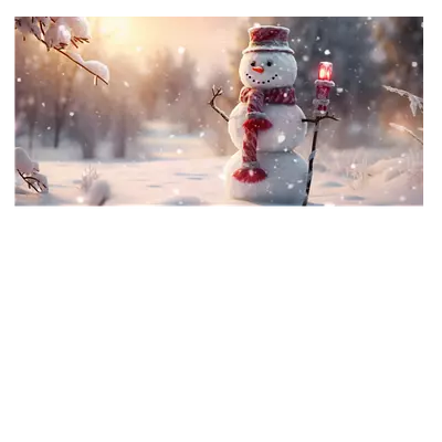 Фото на холсте снеговик, размера 60x30