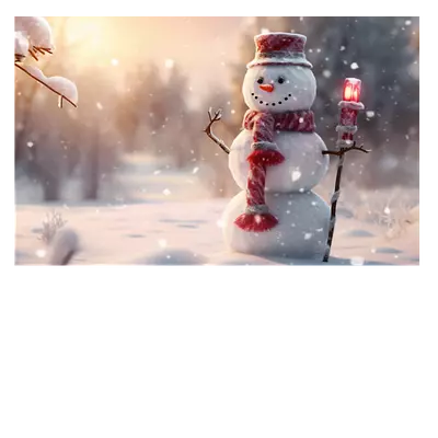 Фото на холсте снеговик 30х20 см