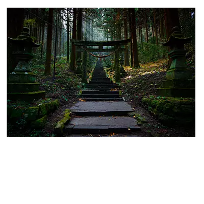 Фото на холсте лестница в лесу, размера 100x70