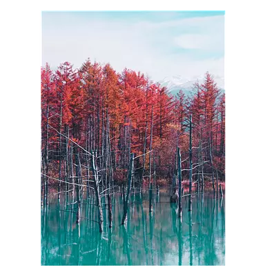 Фото на холсте деревья в воде, размера 30x40