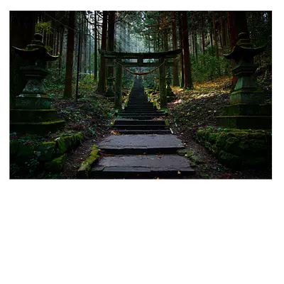 Фото на холсте лестница в лесу, размера 60x40