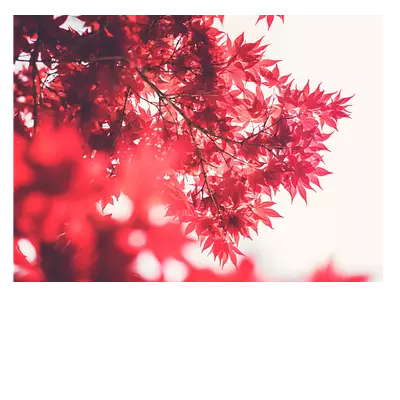 40х30 см. до 220 символов.