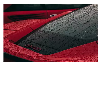 Фото на холсте 30х20 красный феррари под дождём