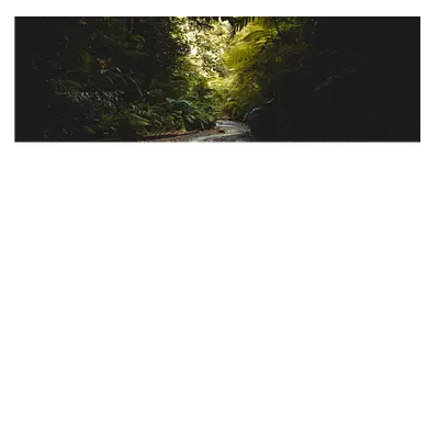 Фото на холсте тропический ручей, размера 120x40