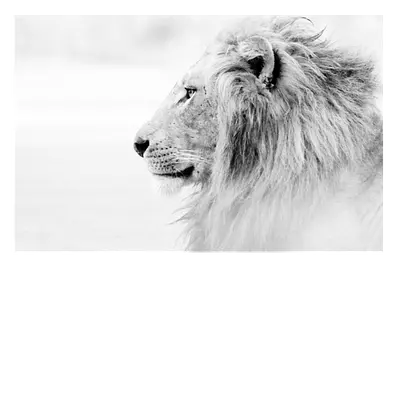 Фото на холсте лев в светлых тонах, размера 60x40