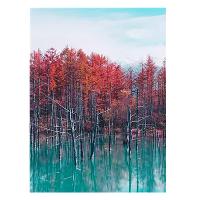 Фото на холсте деревья в воде, размера 60x80