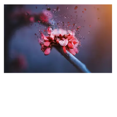 Фото на холсте абстрактный цветок 45х30 см.