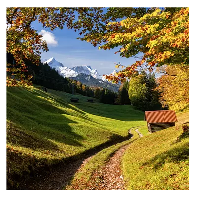 Фото на холсте дорога в зеленом лесу, размера 40x40