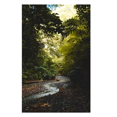 Фото на холсте тропический ручей, размера 30x45