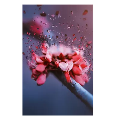 Фото на холсте абстрактный цветок, размера 30x45