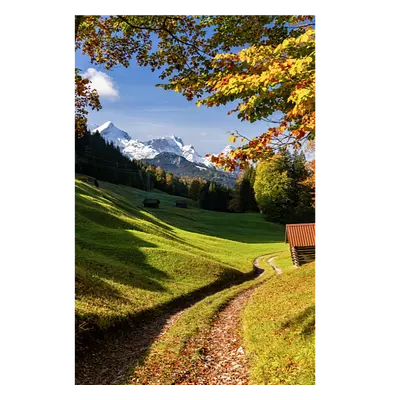 Фото на холсте дорога в зеленом лесу, размера 60x90
