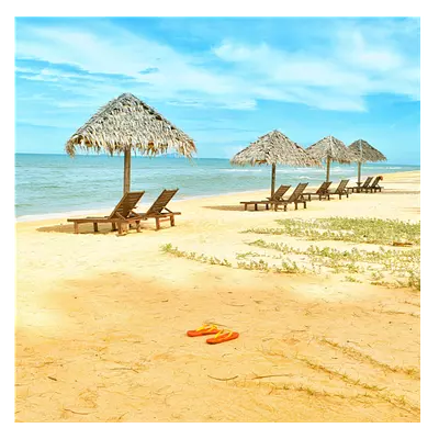 Фото на холсте песчаный пляж, размера 50x50