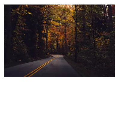 Фото на холсте дорога в лесу, размера 120x80