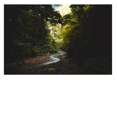 Фото на холсте тропический ручей, размера 90x60