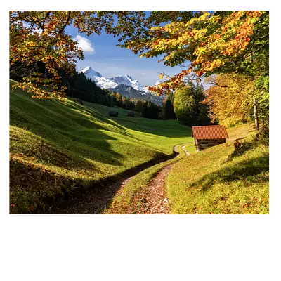 Дорога в зелёном лесу. 50х40 см. до 220 символов.