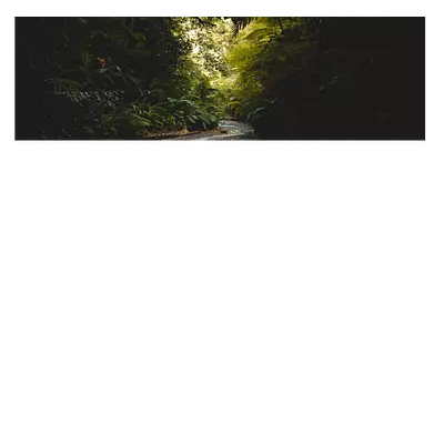 Фото на холсте тропический ручей, размера 90x30