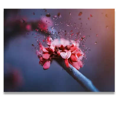 Фото на холсте абстрактный цветок, размера 80x60