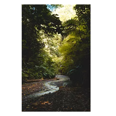 Фото на холсте тропический ручей, размера 40x60